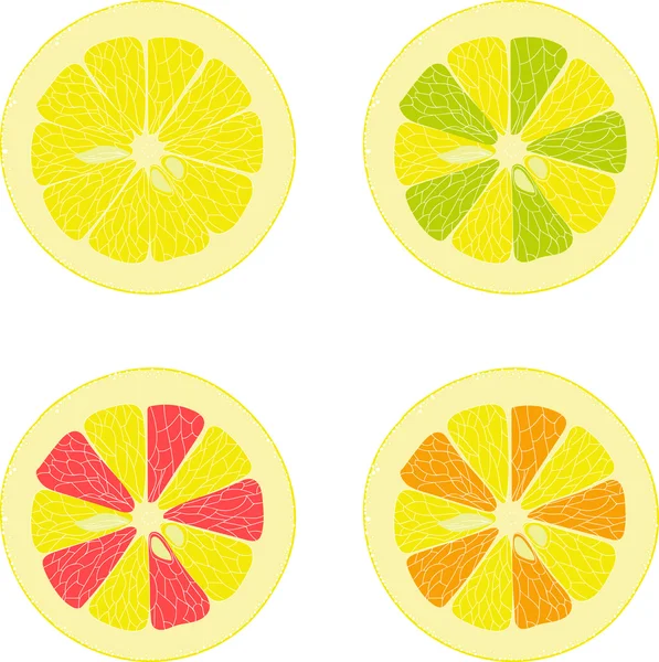 Limón, lima, naranja, pomelo rosa, colección de ilustraciones vectoriales sobre un fondo transparente — Archivo Imágenes Vectoriales