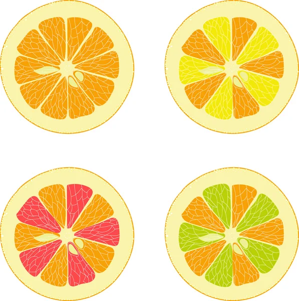 Citroen, limoen, oranje, roze pompelmoes, pomelo verzameling van vectorillustraties op een transparante achtergrond — Stockvector