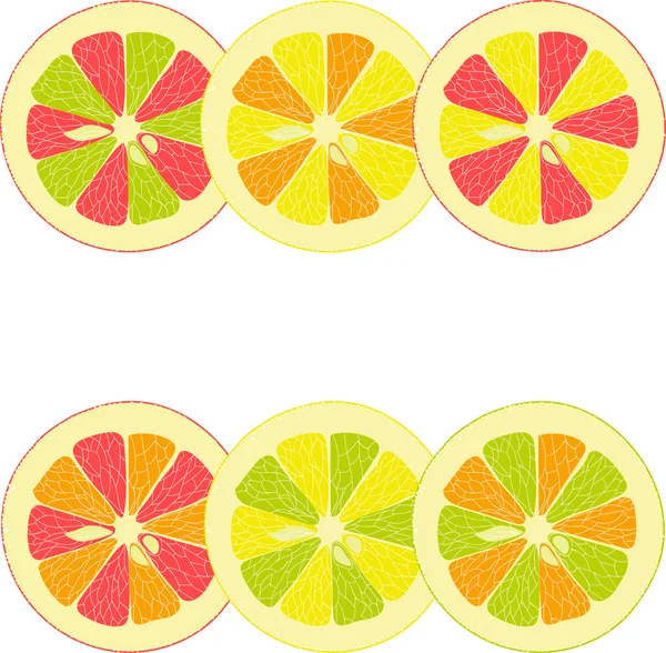 Citroen, limoen, oranje, roze pompelmoes, pomelo verzameling van vectorillustraties op een transparante achtergrond — Stockvector