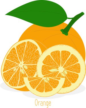 Portakal dilimleri, şeffaf bir arka plan üzerinde vektör çizimler topluluğu