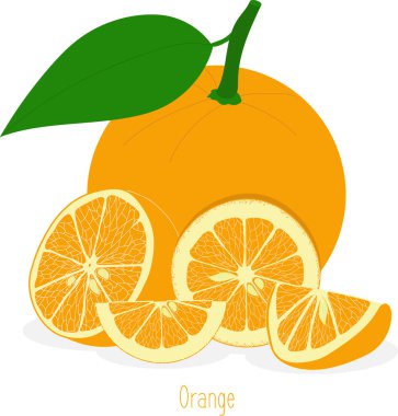 Portakal dilimleri, şeffaf bir arka plan üzerinde vektör çizimler topluluğu