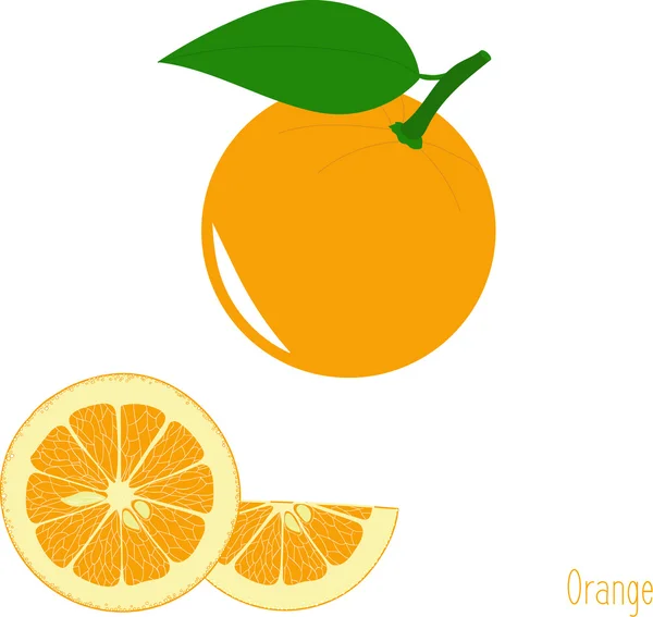 Fatias de laranja, coleção de ilustrações vetoriais em um fundo transparente — Vetor de Stock