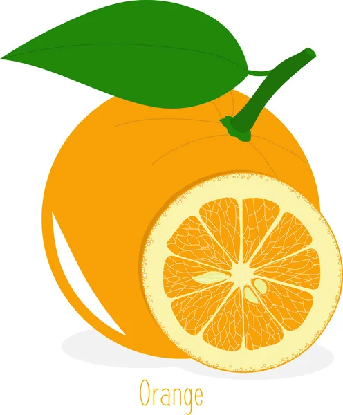 Portakal dilimleri, şeffaf bir arka plan üzerinde vektör çizimler topluluğu