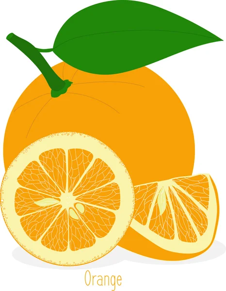 Portakal dilimleri, şeffaf bir arka plan üzerinde vektör çizimler topluluğu