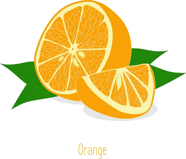 Rodajas de naranja, colección de ilustraciones vectoriales sobre un fondo transparente — Vector de stock