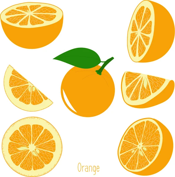 Portakal dilimleri, şeffaf bir arka plan üzerinde vektör çizimler topluluğu