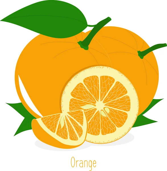 Narancs szelet, gyűjteménye vektor illusztrációk egy átlátszó háttérrel — Stock Vector