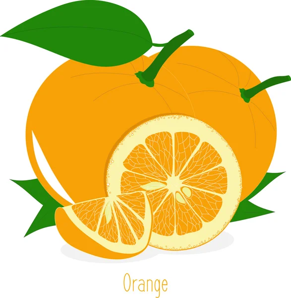 Fatias de laranja, coleção de ilustrações vetoriais em um fundo transparente —  Vetores de Stock