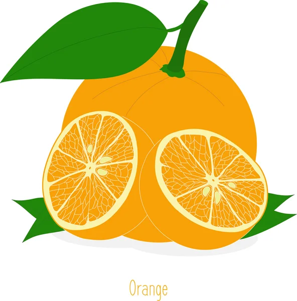 Narancs szelet, gyűjteménye vektor illusztrációk egy átlátszó háttérrel — Stock Vector