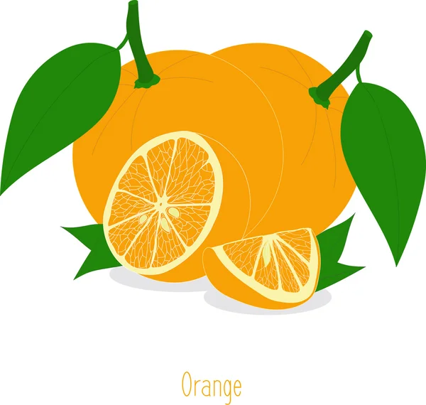 Oranje segmenten, verzameling van vectorillustraties op een transparante achtergrond — Stockvector