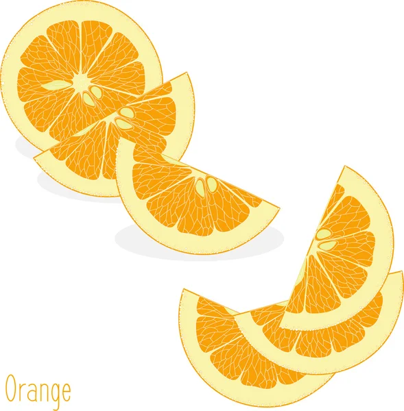 Oranje segmenten, verzameling van vectorillustraties op een transparante achtergrond — Stockvector