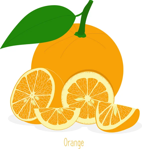 Oranje segmenten, verzameling van vectorillustraties op een transparante achtergrond — Stockvector