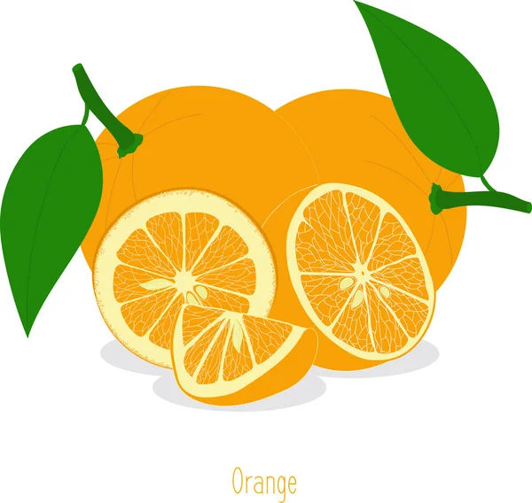 Oranje segmenten, verzameling van vectorillustraties op een transparante achtergrond — Stockvector