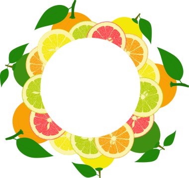 dilimler ve bütün limon, portakal, limon, greyfurt şeffaf bir arka plan üzerinde yuvarlak çerçeve