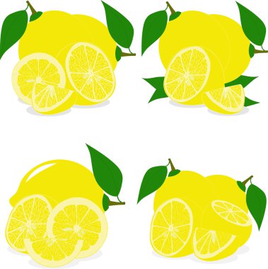 Limon dilimleri, şeffaf bir arka plan üzerinde vektör çizimler topluluğu