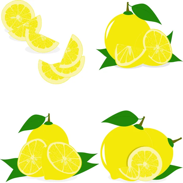 Tranches de citron, collection d'illustrations vectorielles sur fond transparent — Image vectorielle