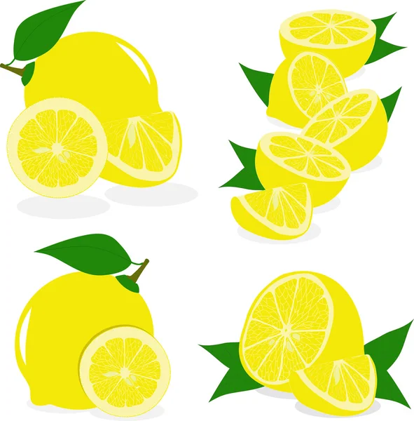 Limon dilimleri, şeffaf bir arka plan üzerinde vektör çizimler topluluğu