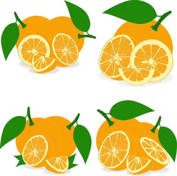 Fatias de laranja, coleção de ilustrações vetoriais em um fundo transparente —  Vetores de Stock