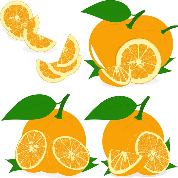 Oranje segmenten, verzameling van vectorillustraties op een transparante achtergrond — Stockvector