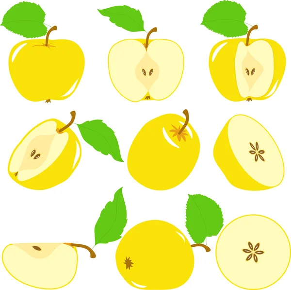 Tranches de pomme, collection d'illustrations vectorielles sur fond transparent — Image vectorielle