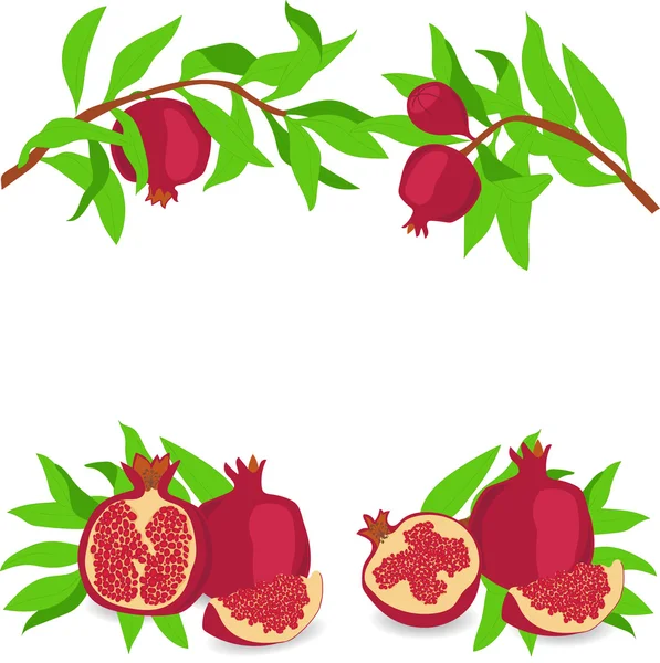 Melograno. Pronti. Illustrazione vettoriale su sfondo trasparente — Vettoriale Stock