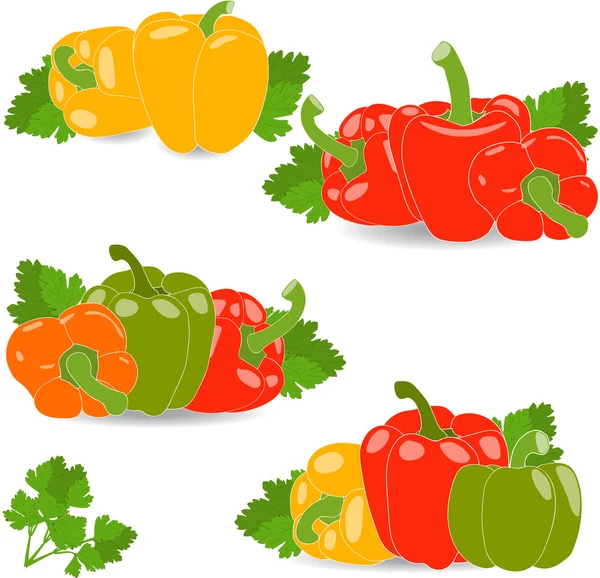 Peppers, set of yellow, red, green and orange peppers and parsley leaves, vector illustration on a transparent background — Stock Vector