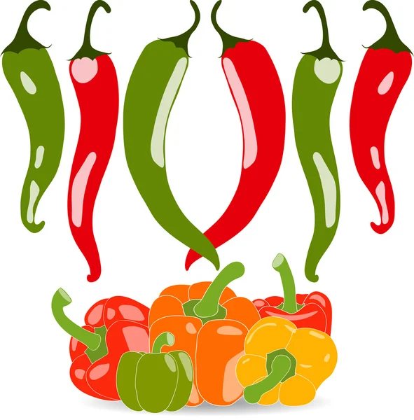 Set of sweet and chili peppers, vector illustration, isolated, on white background — Stock Vector