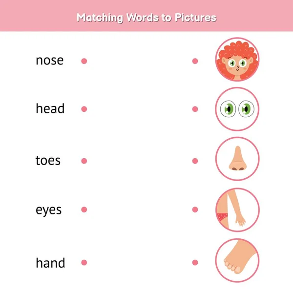 Hasonlítsd össze a szavakat a képekkel. Tanulj meg olvasni megfelelő játék gyerekeknek — Stock Vector