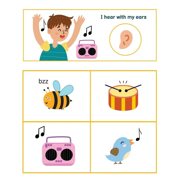 Cartaz de cinco sentidos. Página de apresentação de sentido auditivo para crianças —  Vetores de Stock