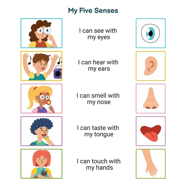 제다섯 가지 감각은 아이들을 위한 교육 포스터입니다. 시각, 청각, 후각, 미각, 촉각 — 스톡 벡터
