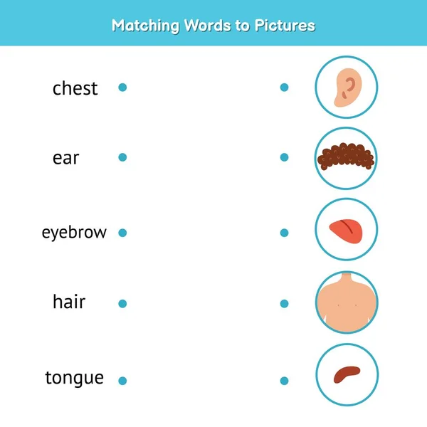 Hasonlítsd össze a szavakat a képekkel. Tanulj meg olvasni megfelelő játék gyerekeknek — Stock Vector