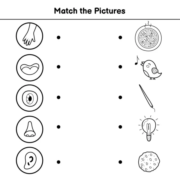 Fünf-Sinne-Spiel für Kinder. Ordnen Sie die Bilder Aktivitätsseite — Stockvektor