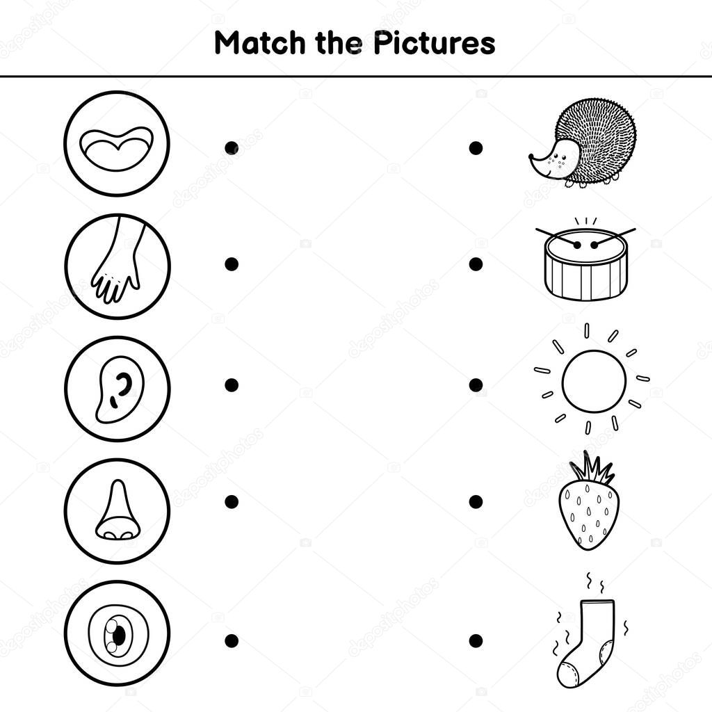 five senses matching game for kids sight touch hearing smell and taste match the pictures activity page learning body parts black and white coloring page vector illustration premium vector in adobe