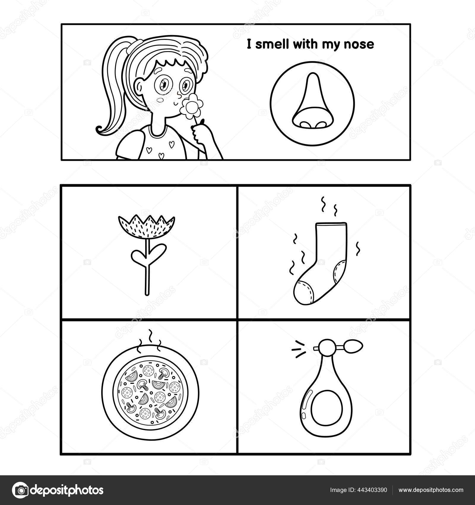 the five senses coloring pages