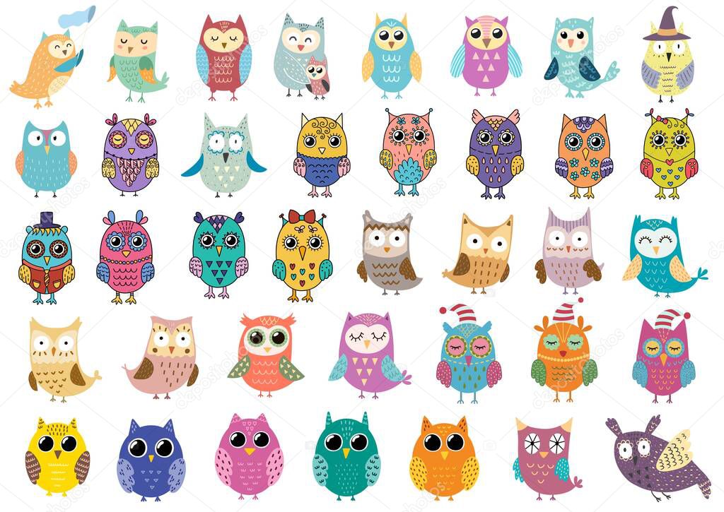 Big collection of cute owls. Clipart bundle with funny birds. Forest characters isolated elements set. Vector illustration