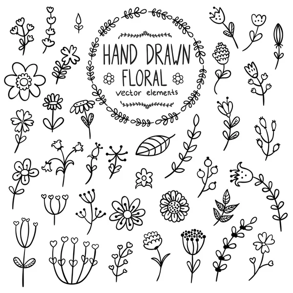 Hand drawn floral elements for your design — Stock Vector