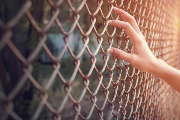 Diken üstünde tutan el