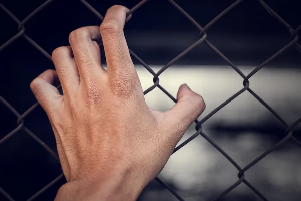 Hand holding on fence — Stock Photo, Image