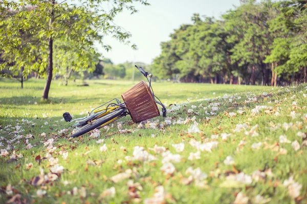 Çimen çiçek arka plan ile yumuşak odak Bisiklet
