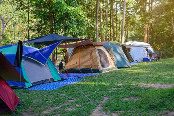 Ormanda kamp çadırı, turizm ve doğada dinlenme.
