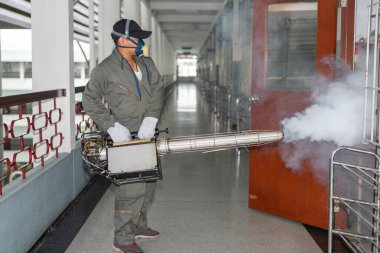 Dang hummasının yayılmasını önlemek için odadaki sivrisinekleri yok etmek.
