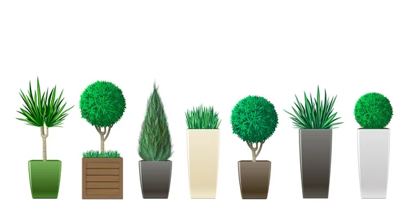 鉢植えな植物のセット — ストックベクタ