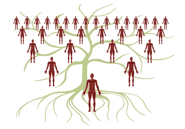 Drzewo genealogiczne swojej rodziny — Zdjęcie stockowe