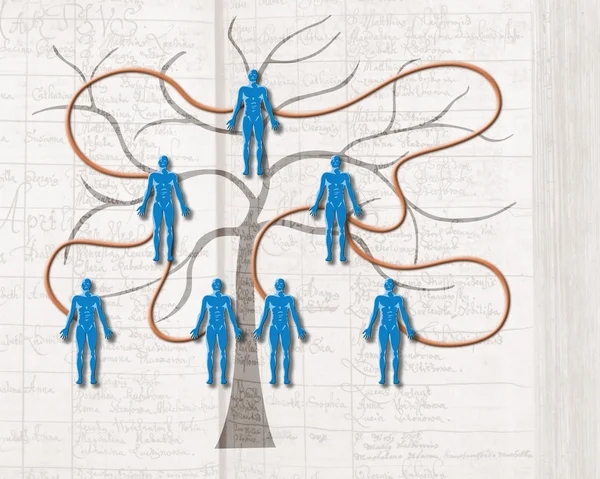 Drzewo genealogiczne swojej rodziny — Zdjęcie stockowe