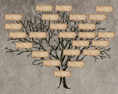 Aile ağacı tasarımınız için
