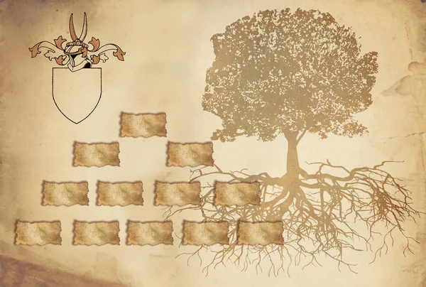 kat ile aile ağacı