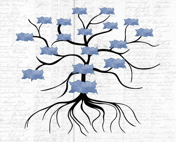 Генеалогическое древо, древо жизни — стоковое фото