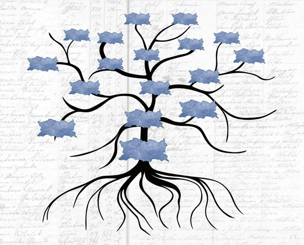 가계도, 생명의 나무 — 스톡 사진