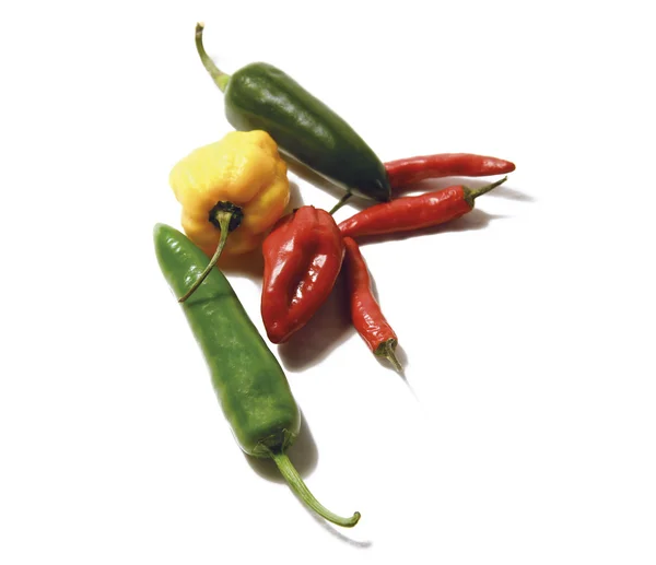 Chilli mix for you — Stock Photo, Image