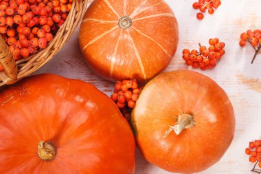 Kabaklar ve rowan-berry ile sonbahar natürmort